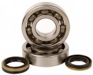 Hot Rods, Ramlagersats, Suzuki 05-08 RM250